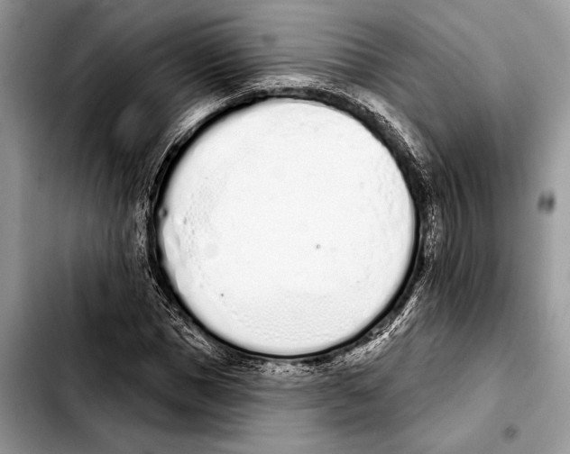 X0000103440921200810101102