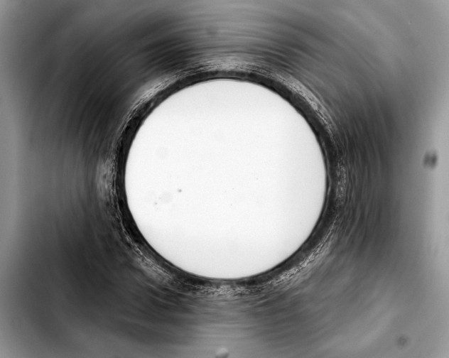 X0000103440922200810101102