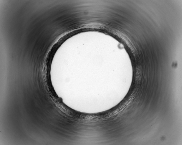 X0000103440923200810101102
