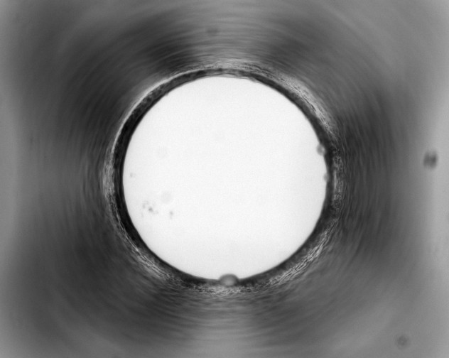 X0000103440924200810101102