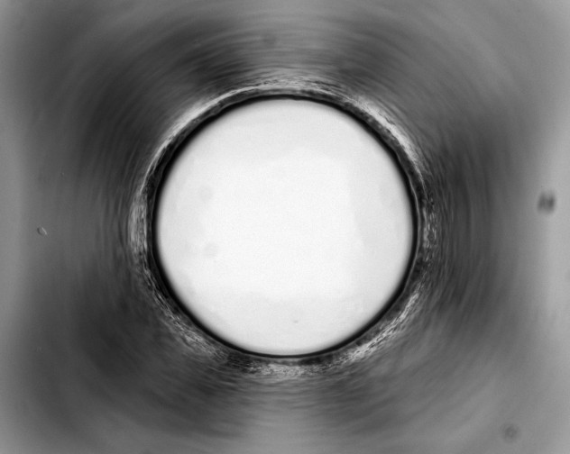 X0000103440925200810101102