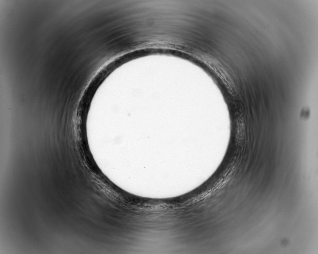 X0000103440926200810101102