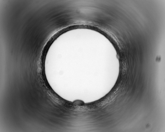 X0000103440927200810101102