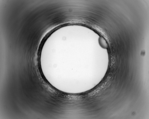 X0000103440928200810101102