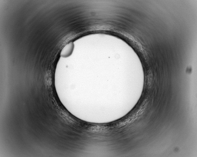 X0000103440929200810101102