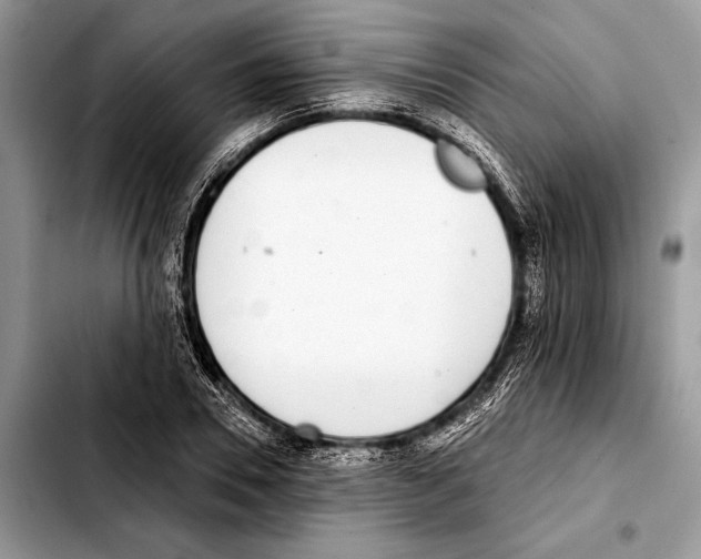 X0000103440930200810101102