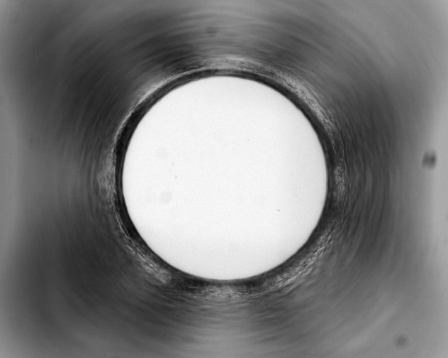 X0000103440931200810101102