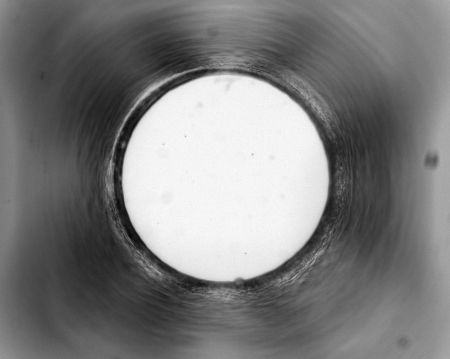 X0000103440932200810101102