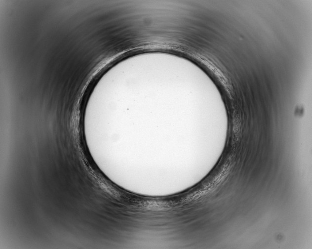 X0000103440933200810101102