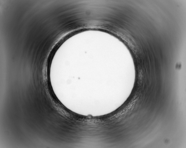 X0000103440934200810101102