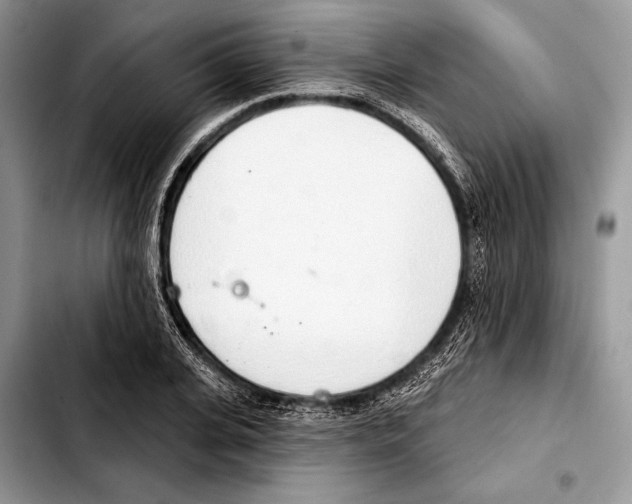 X0000103440935200810101102