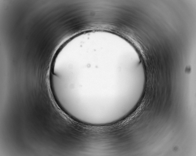 X0000103440936200810101102