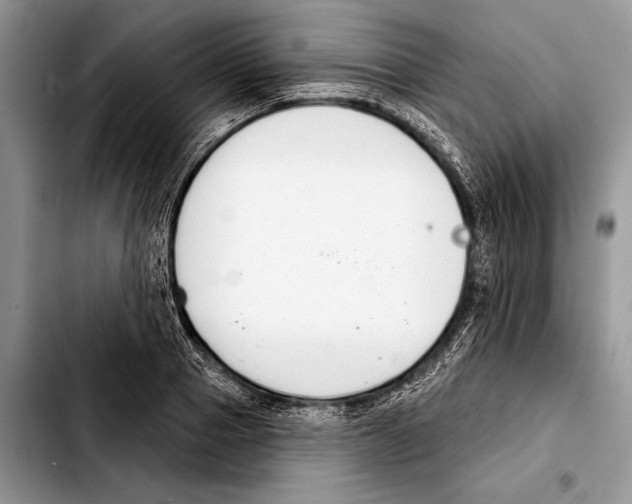 X0000103440937200810101102
