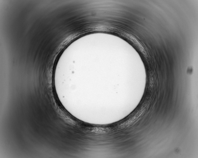 X0000103440938200810101102