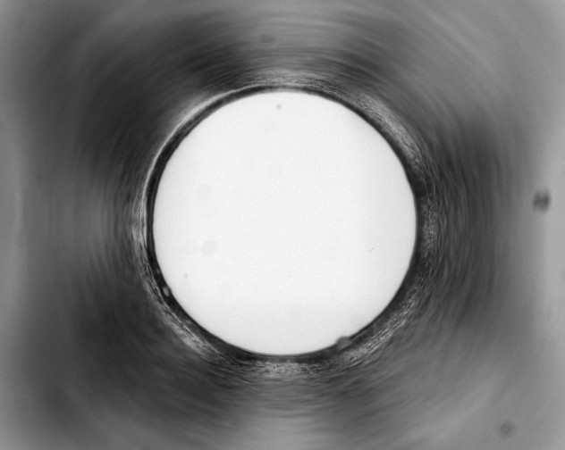 X0000103440940200810101102