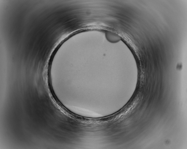 X0000103440941200810101102