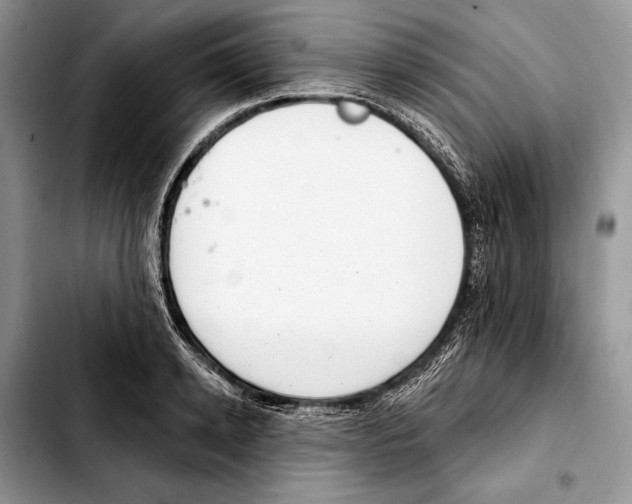 X0000103440942200810101102
