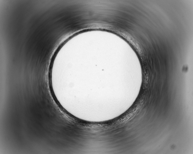 X0000103440943200810101102