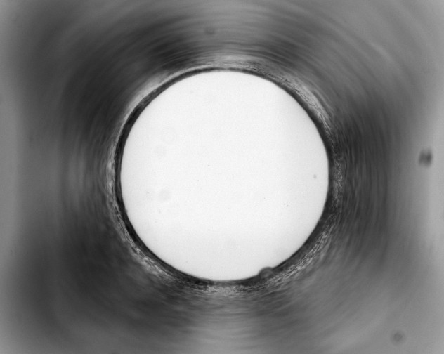 X0000103440944200810101102