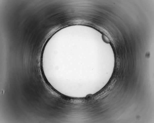 X0000103440946200810101102