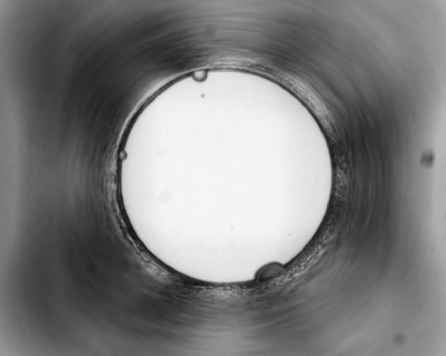 X0000103440948200810101102
