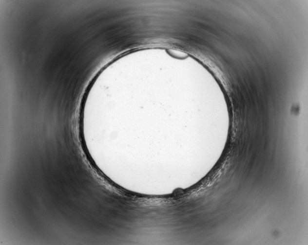 X0000103440949200810101102