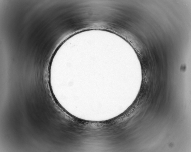 X0000103440950200810101102