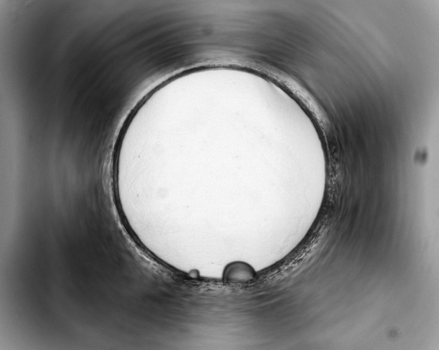 X0000103440951200810101102