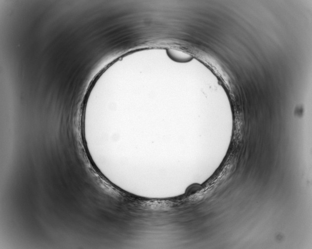 X0000103440952200810101102