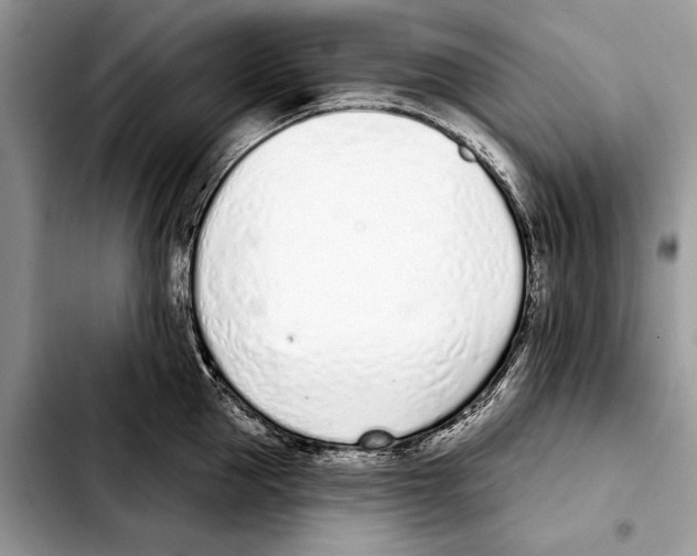 X0000103440953200810101102