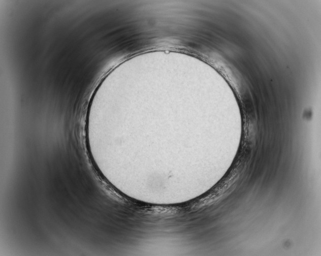 X0000103440954200810101102