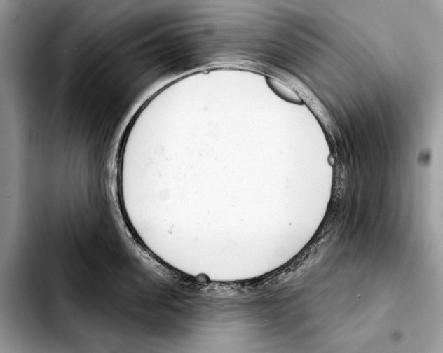 X0000103440955200810101102