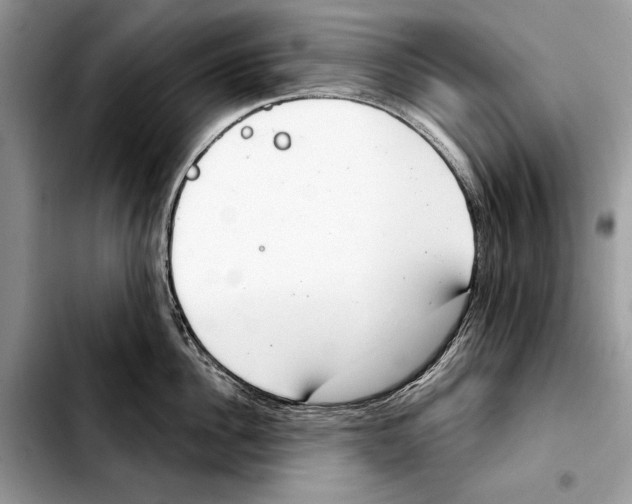 X0000103440956200810101102