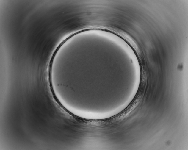 X0000103440958200810101102