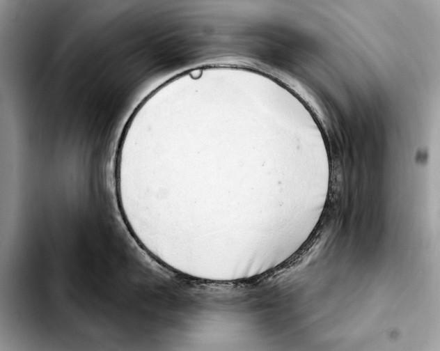 X0000103440959200810101102