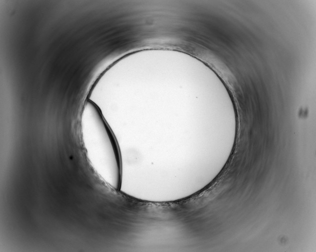 X0000103440960200810101102
