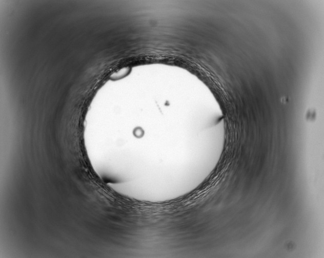 X0000103440961200810101102