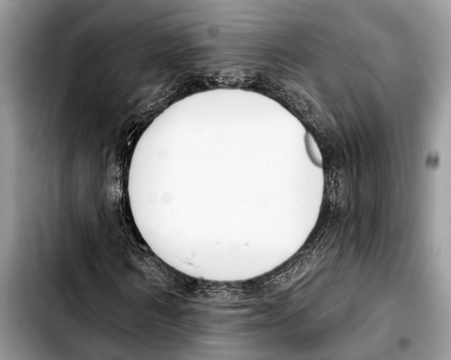 X0000103440962200810101102