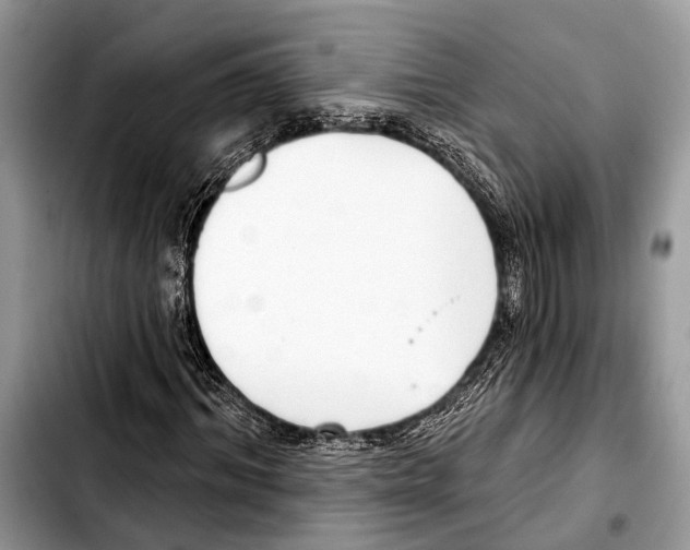 X0000103440964200810101102