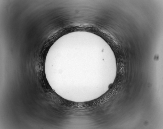 X0000103440966200810101101