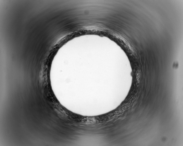 X0000103440968200810101101