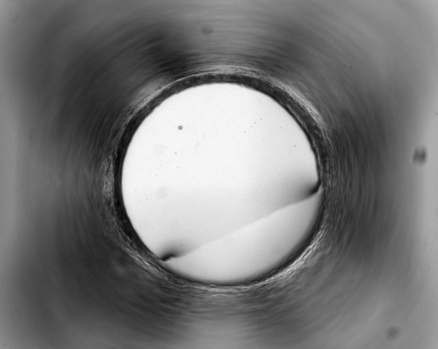 X0000103440969200810101101