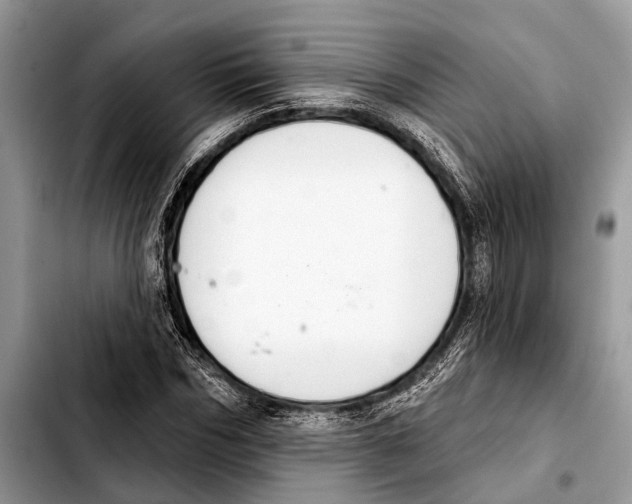 X0000103440970200810101101
