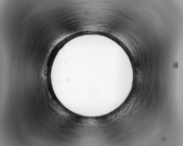 X0000103440971200810101101