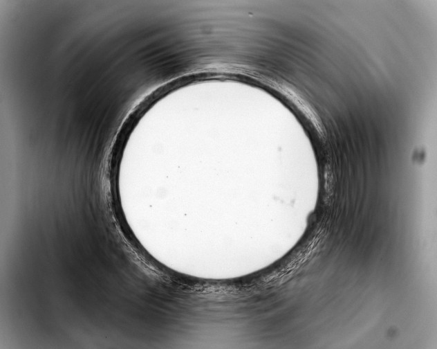 X0000103440972200810101101