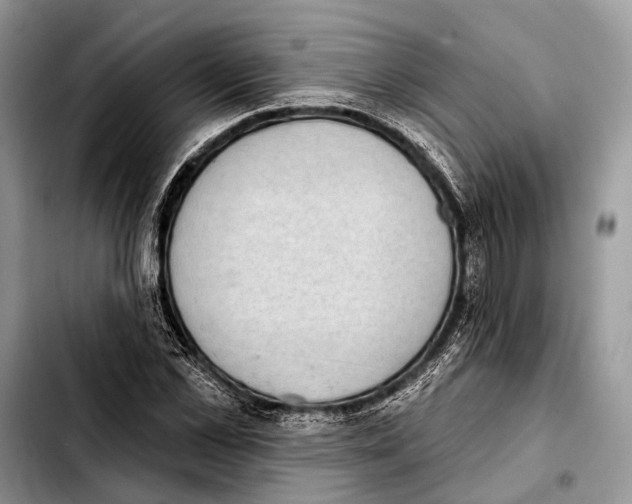 X0000103440973200810101101