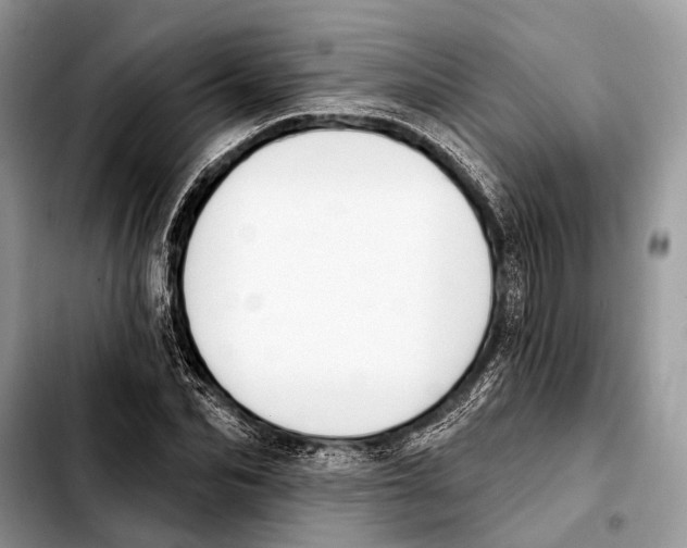 X0000103440974200810101101