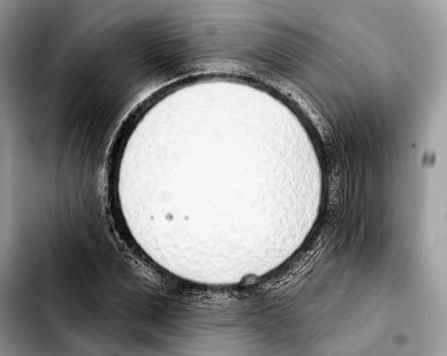 X0000103440975200810101101