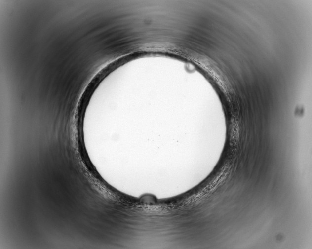 X0000103440976200810101101
