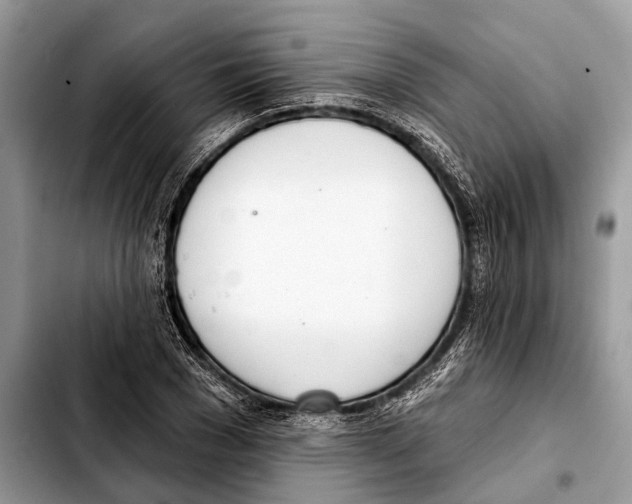 X0000103440977200810101101